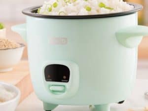 mini rice cooker small rice cooker reviews