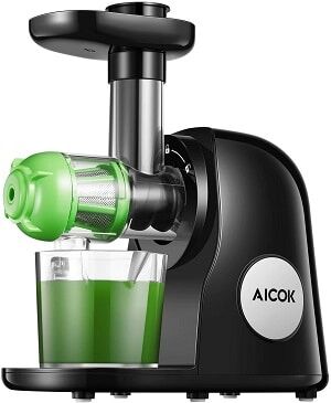 low cost masticating juicer