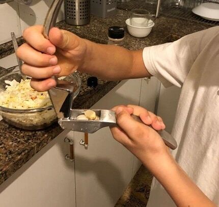 gourmet easy garlic press trial review