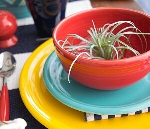 best colorful dinnerware set