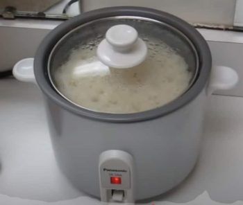 panasonic mini rice cooker review